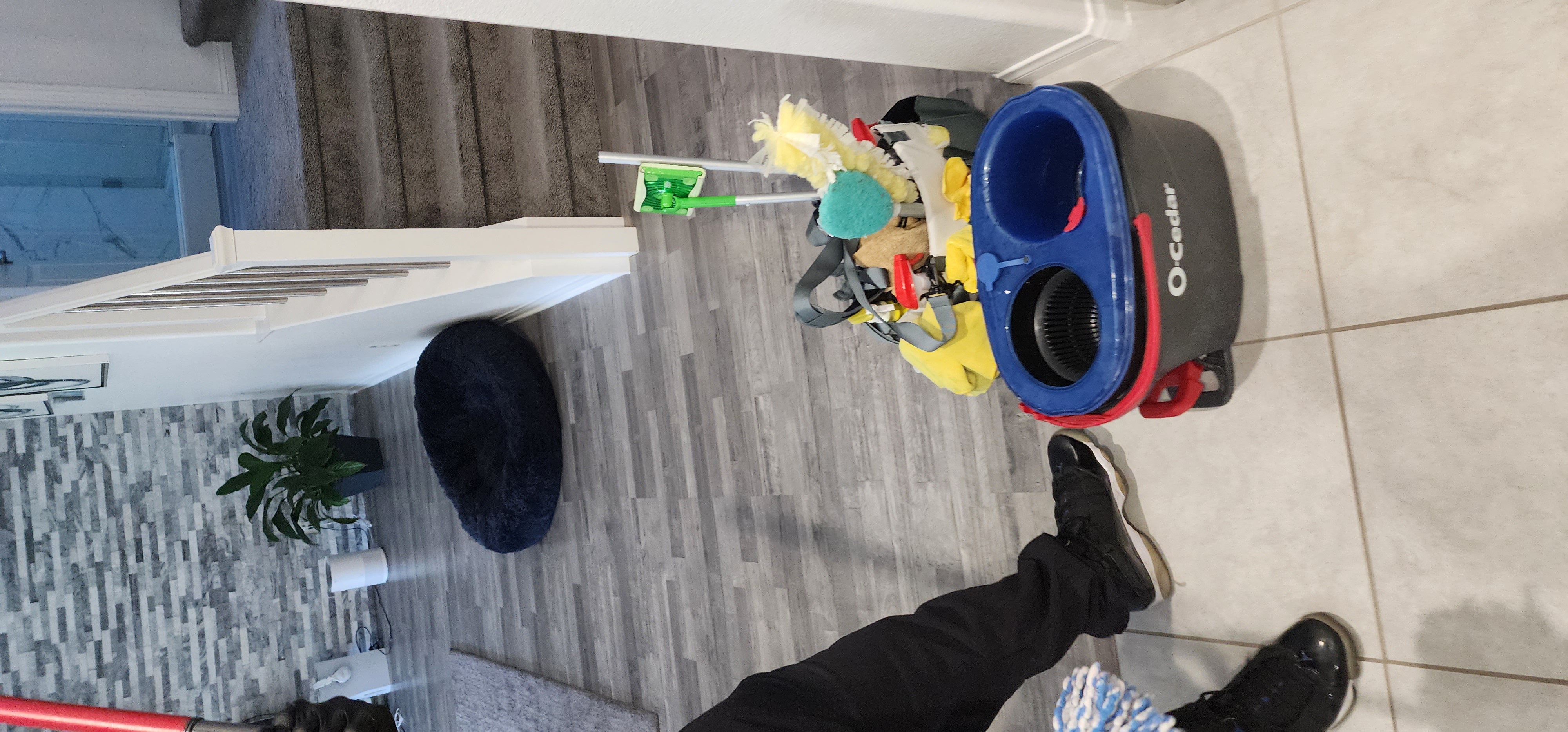 Avatar for House cleaning by LeeLee