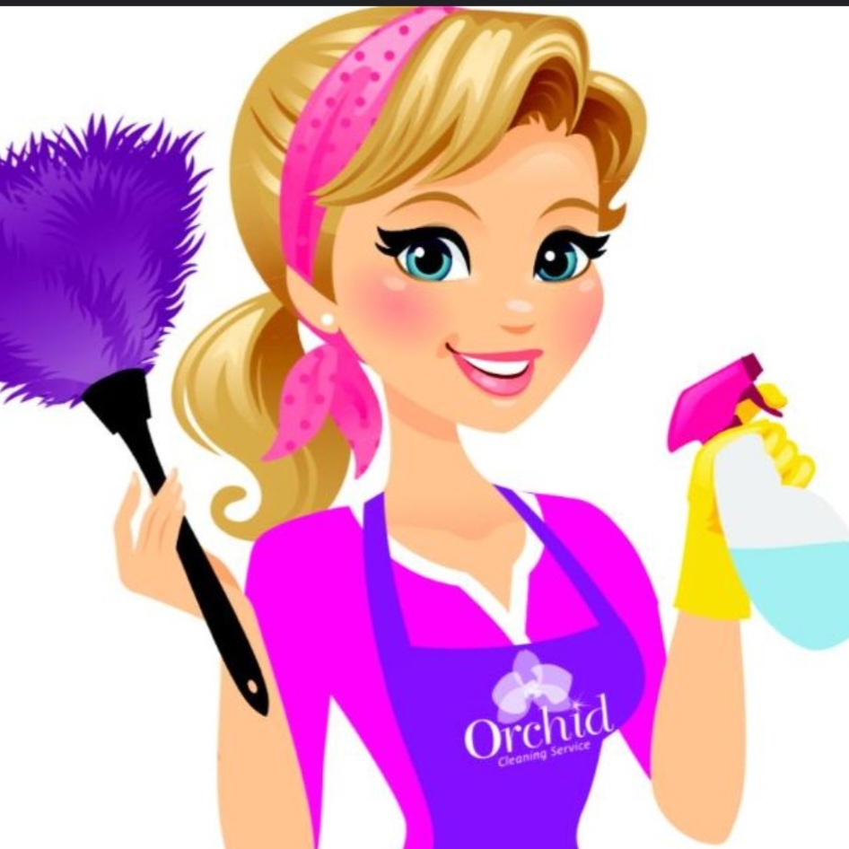 Lily house cleaning logo