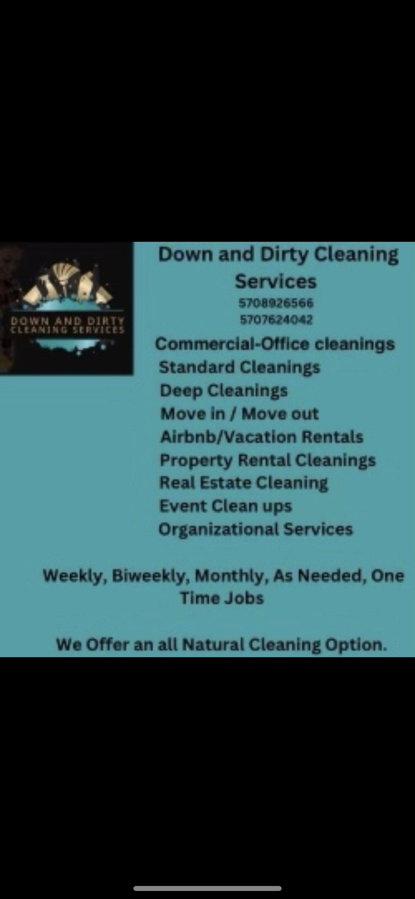 Down and Dirty Cleaning Services logo