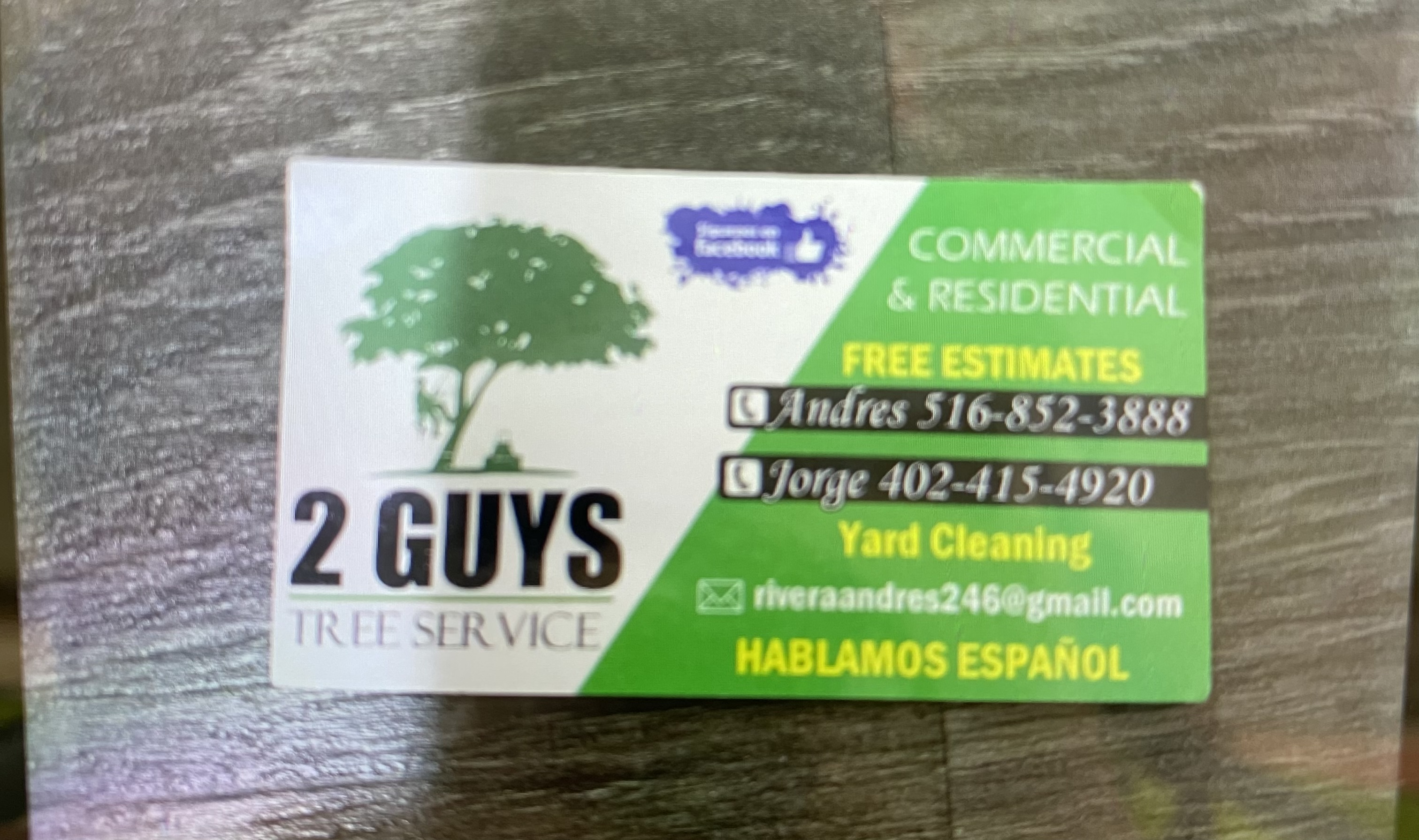 2 guys tree service logo