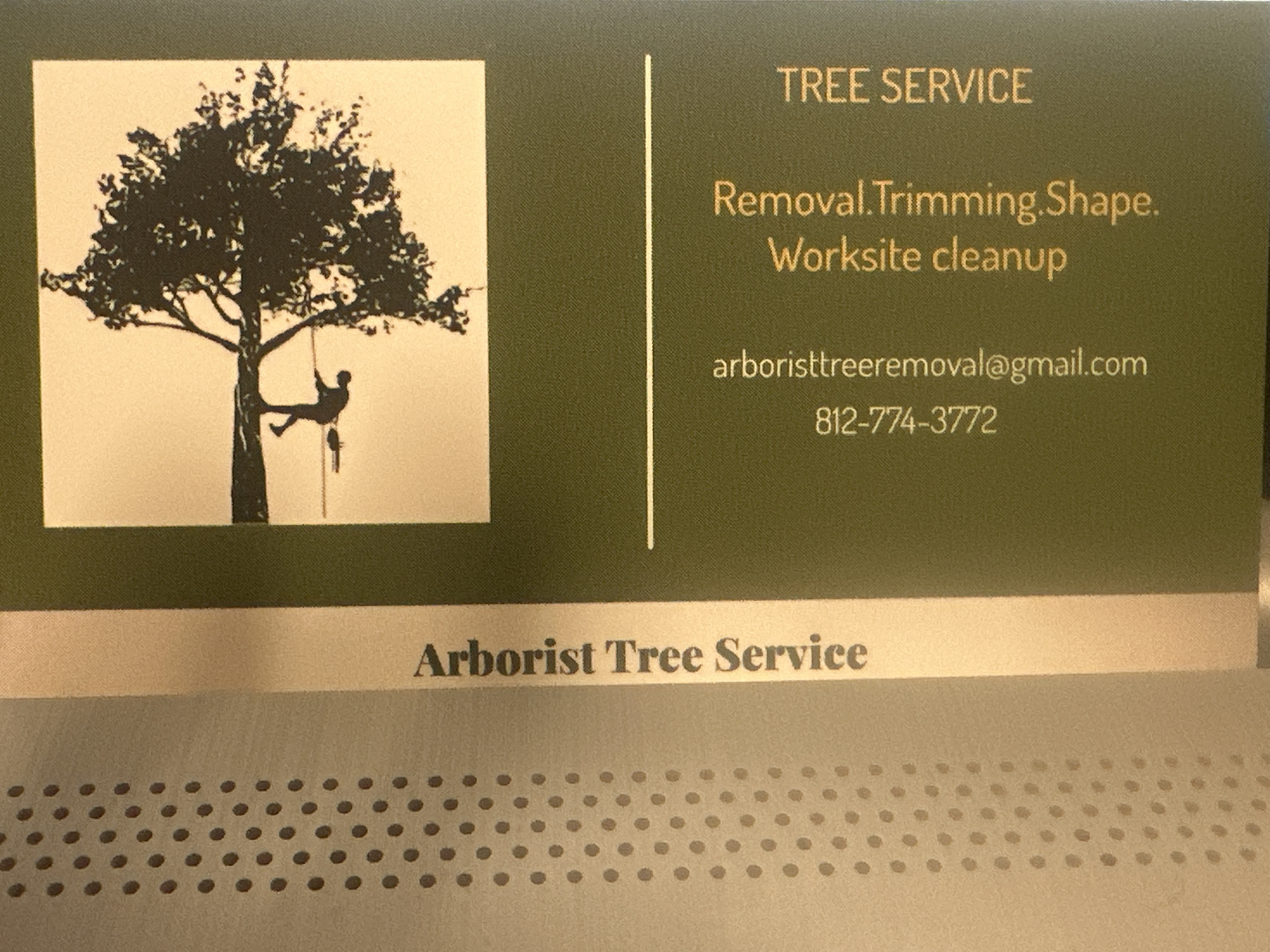 Avatar for Aborist Tree Service