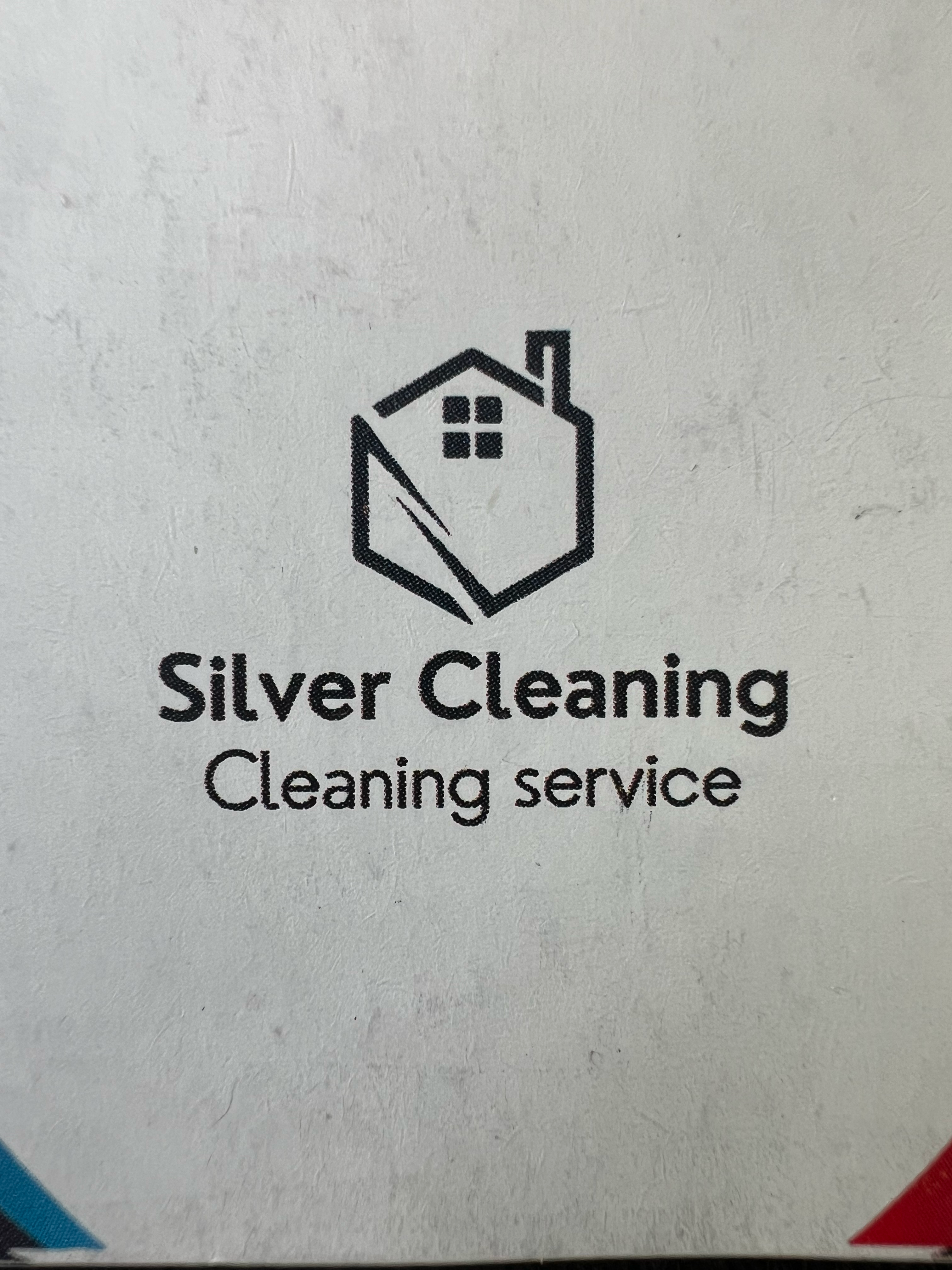 Silver cleaning logo