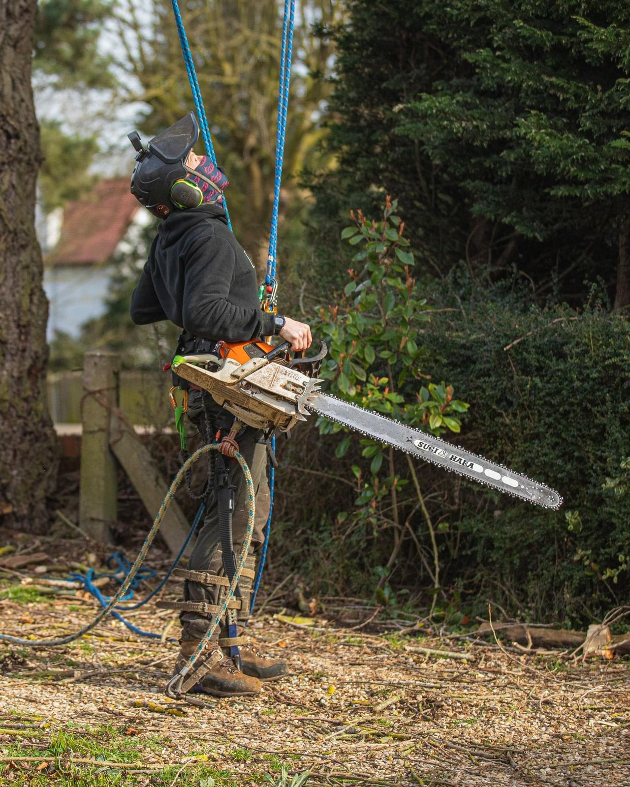 Squirrel Tree Service and Stump logo