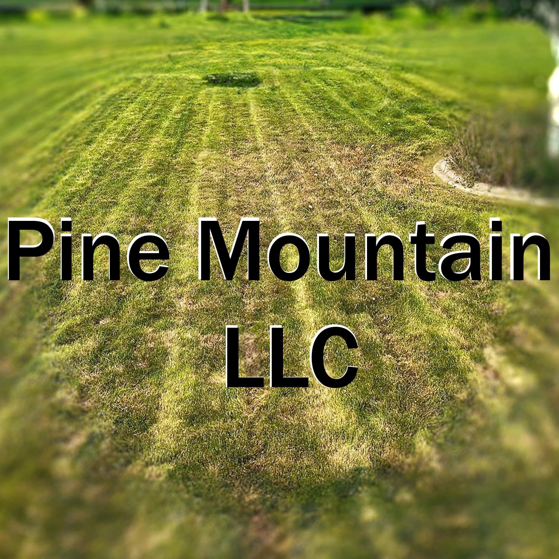 Pine Mountain LLC logo