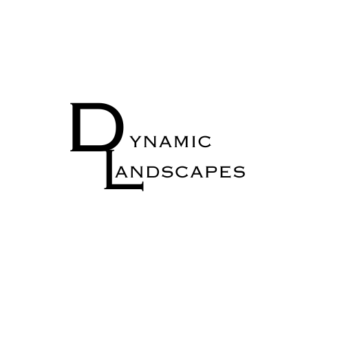 Dynamic Landscapes logo