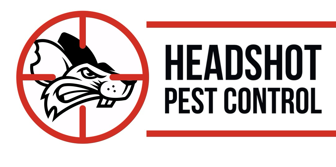 Avatar for Headshot Pest Control
