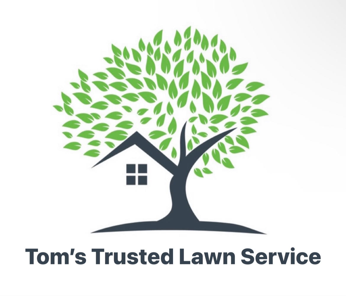 Avatar for Toms Trusted Lawn Services