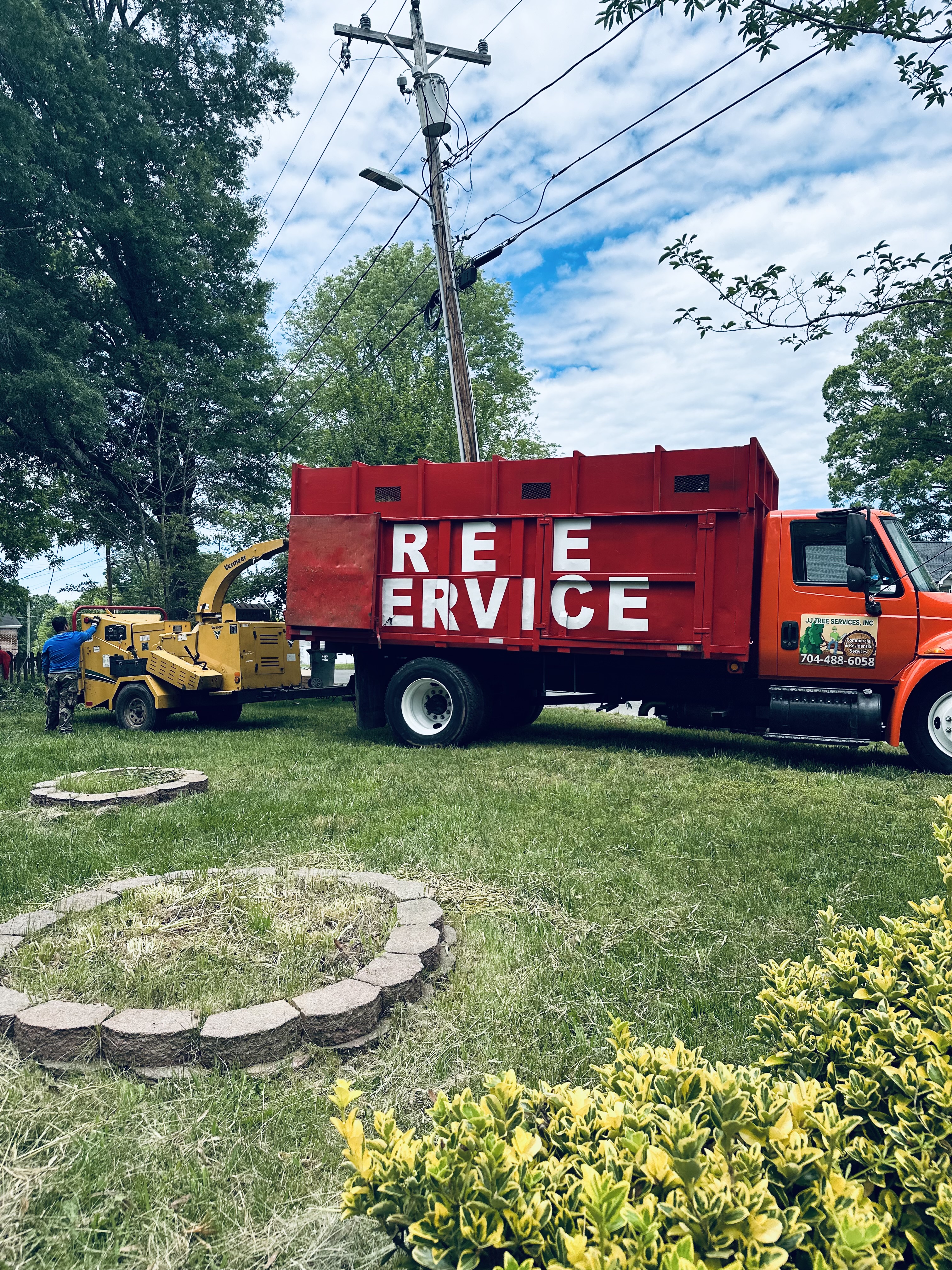 JJ Tree services logo