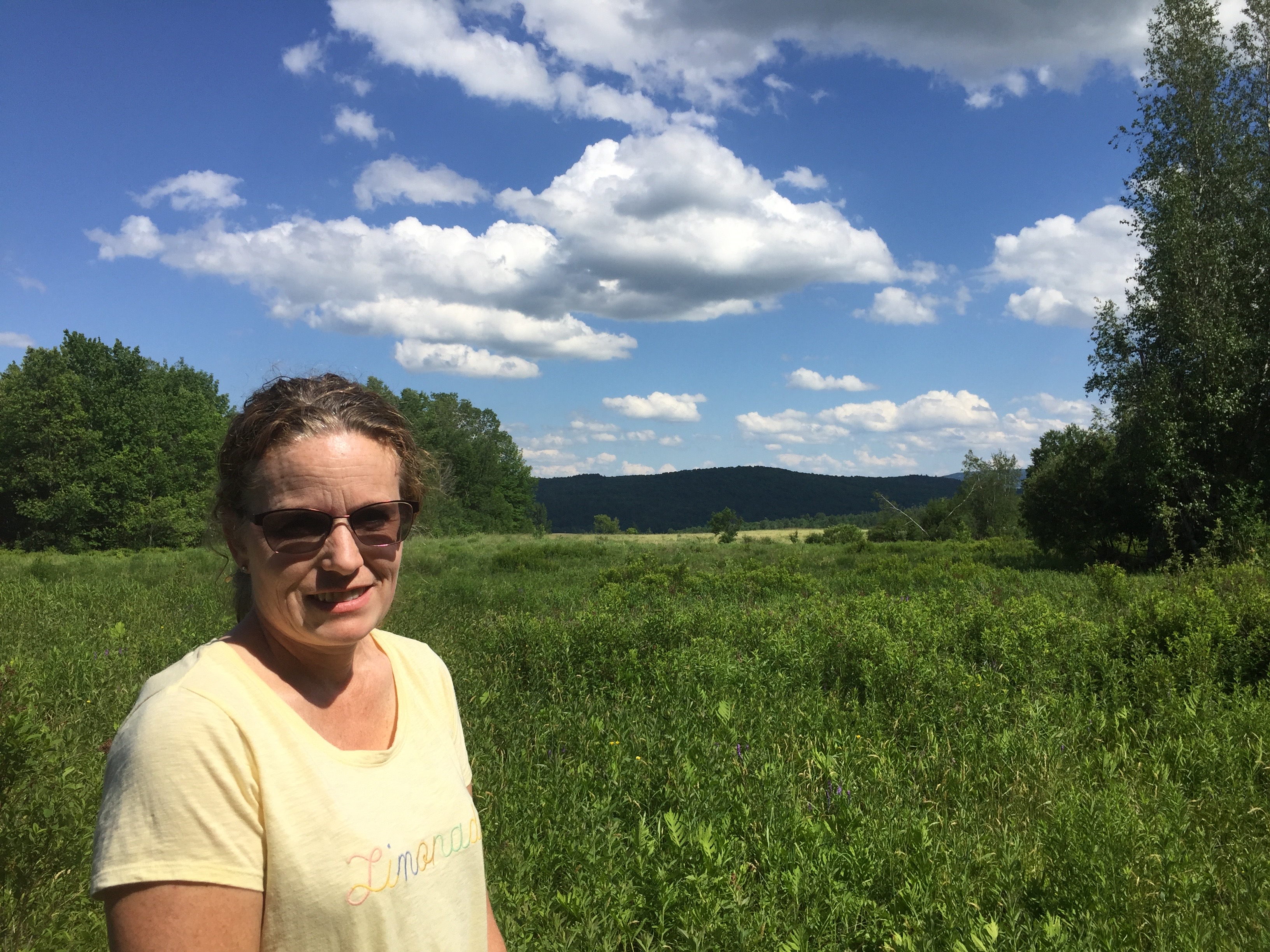 All Star Cleaning logo