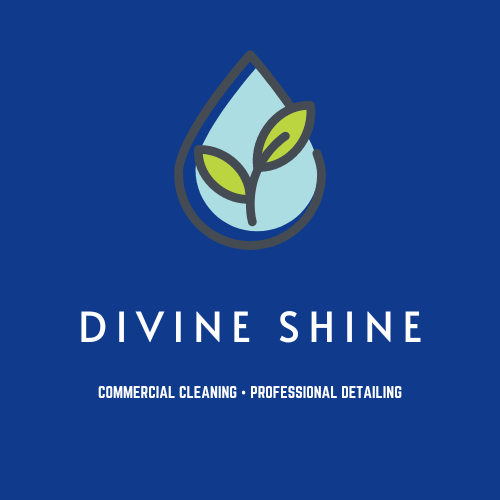 Divine Shine - Commercial Cleaning & Detailing L.L.C logo