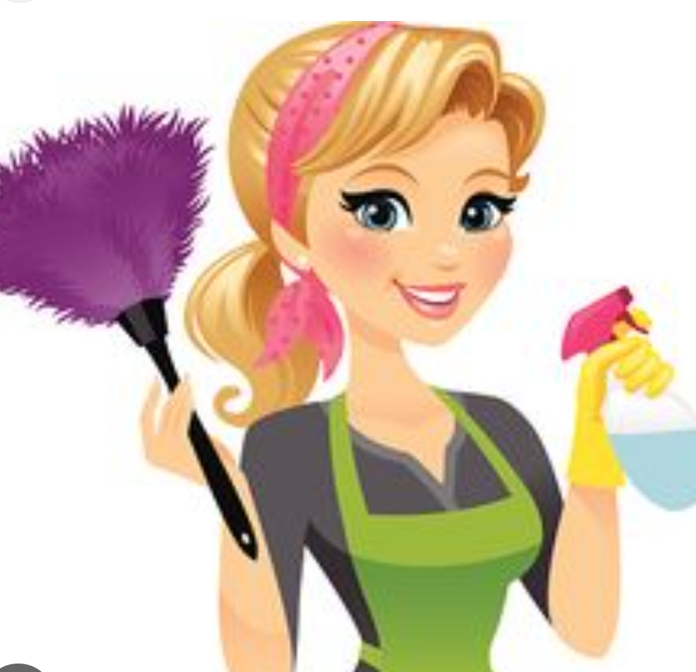 Velez Cleaning logo