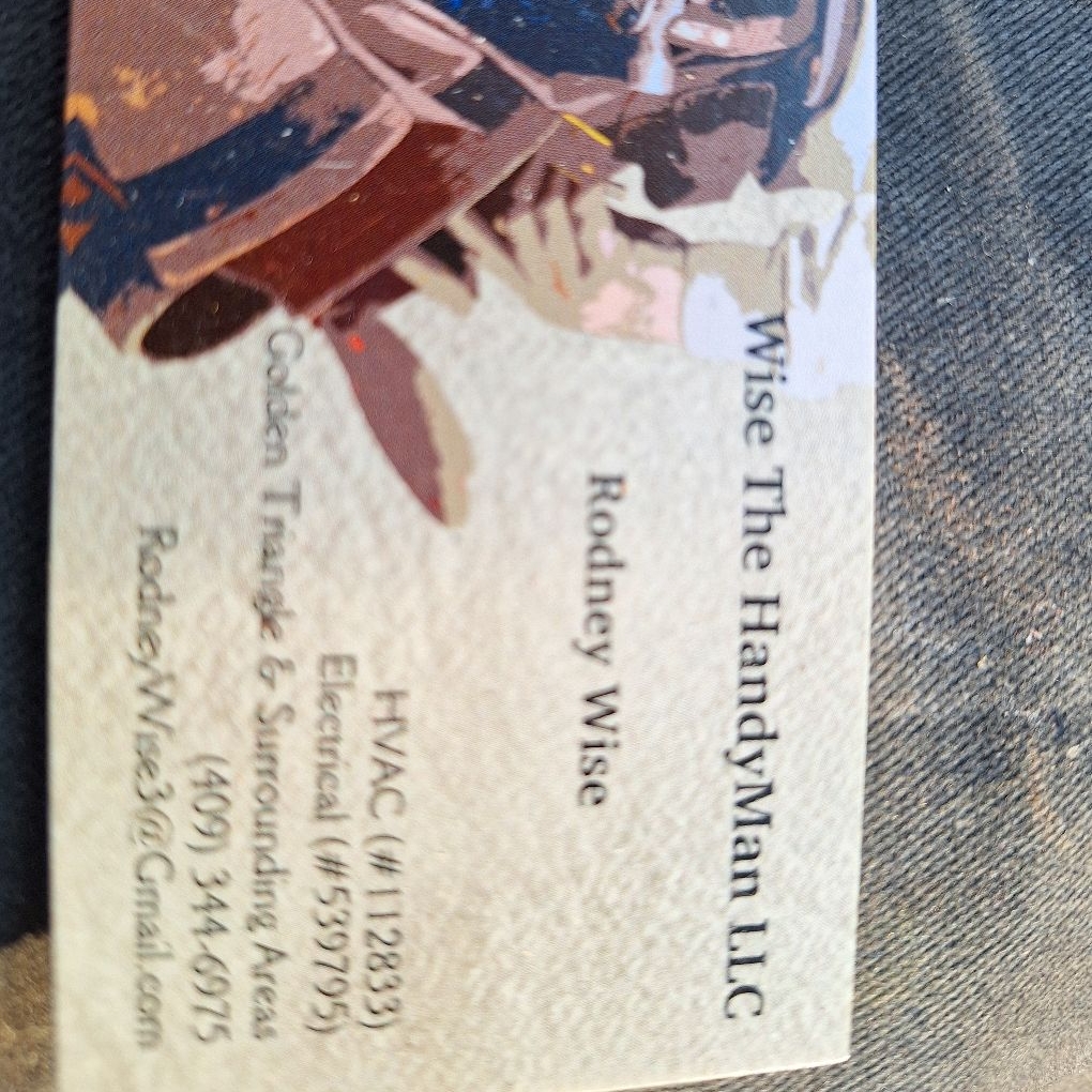 Wise The Handyman logo