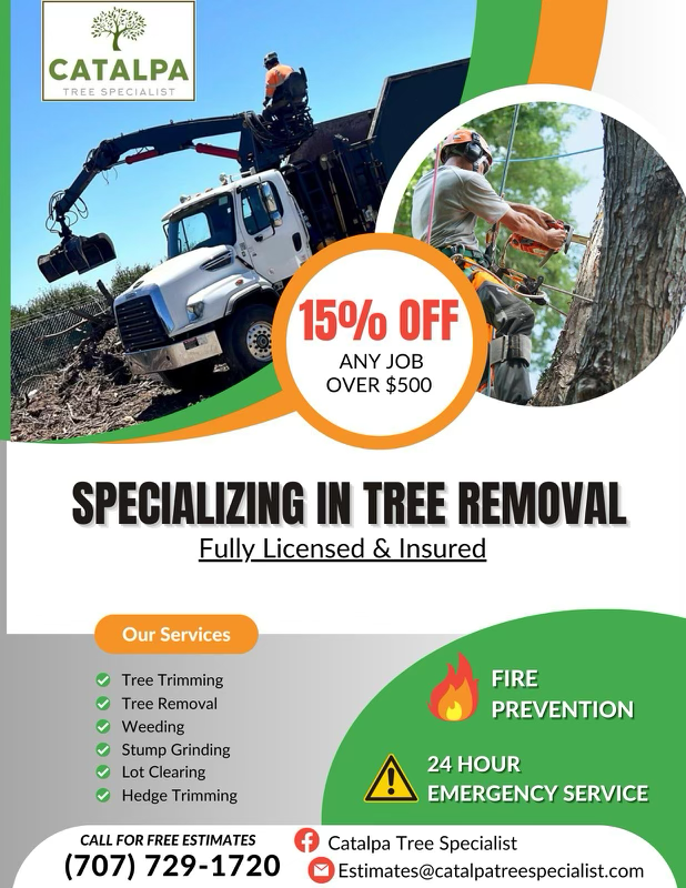 Avatar for Catalpa Tree Specialist LLC