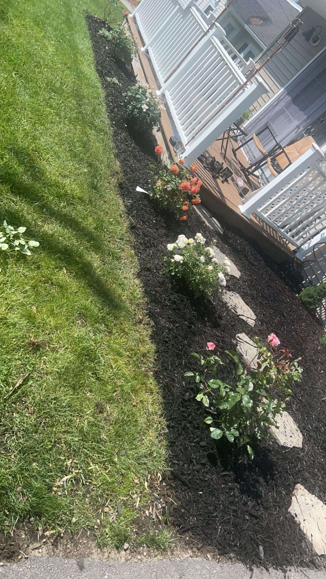 D.D. Landscaping LLC logo