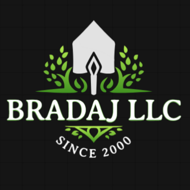 Avatar for Brandaj LLC