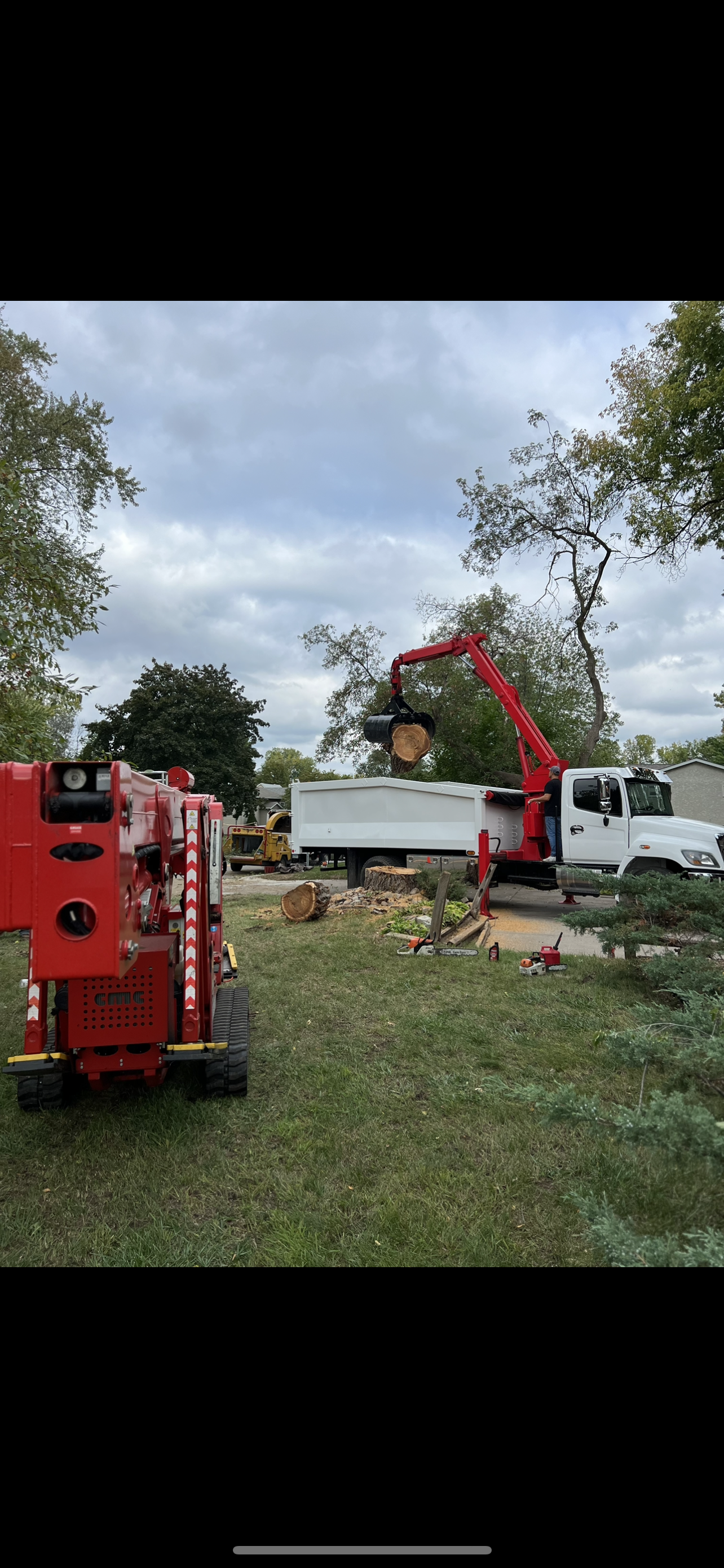 Quality Tree and Landscaping logo