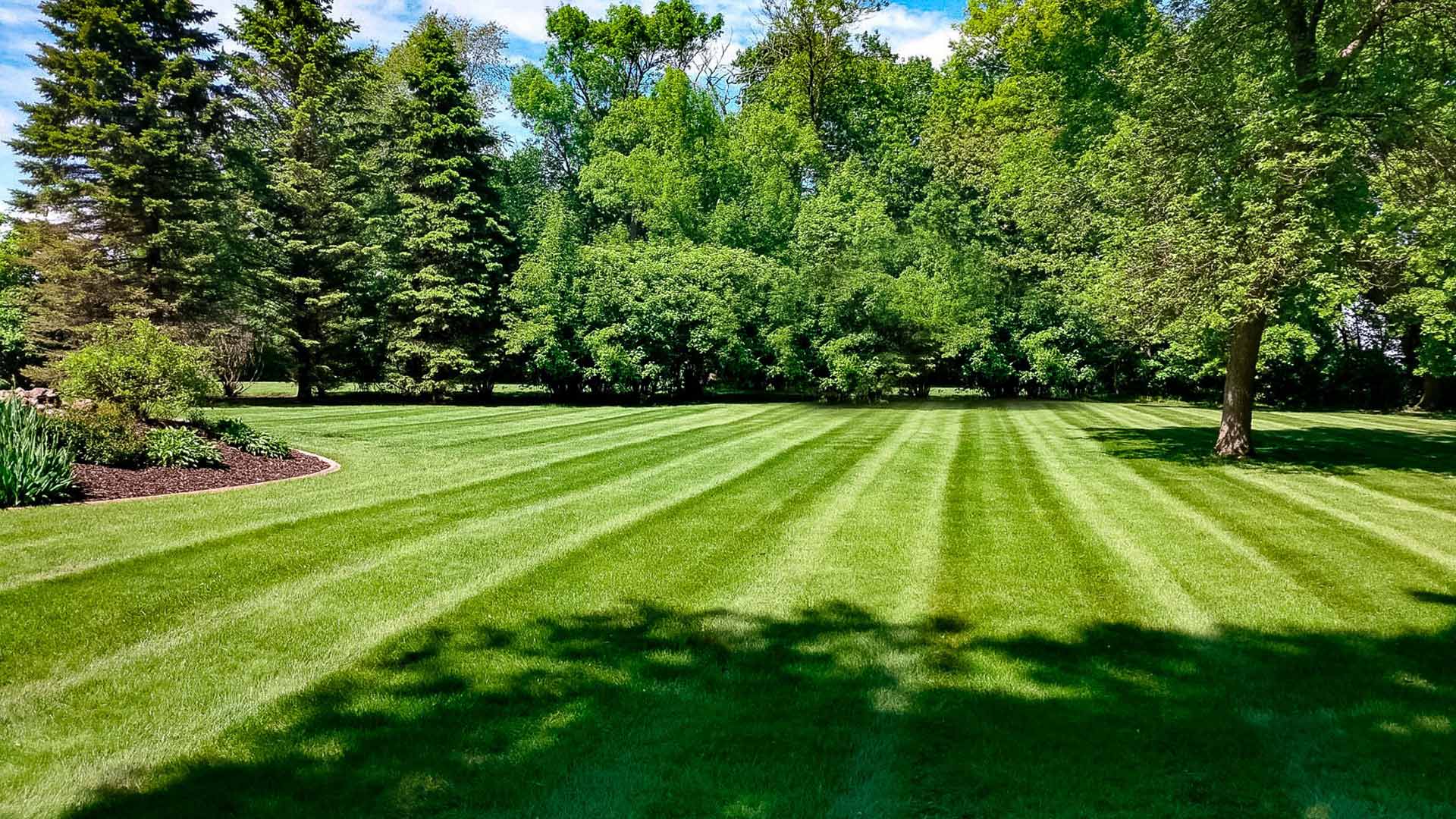 Avatar for Premier Lawncare