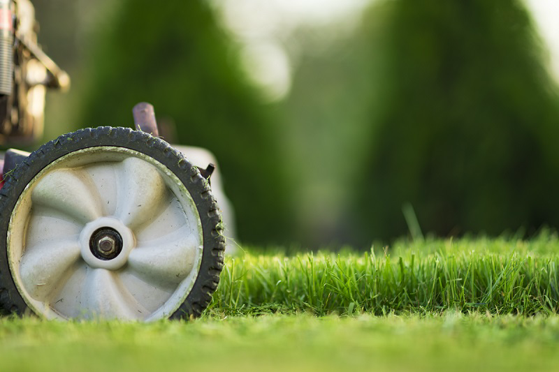 Avatar for Slingn Blades lawn professionals
