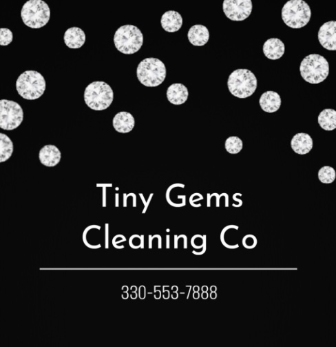 Avatar for Tiny Gems Cleaning Company