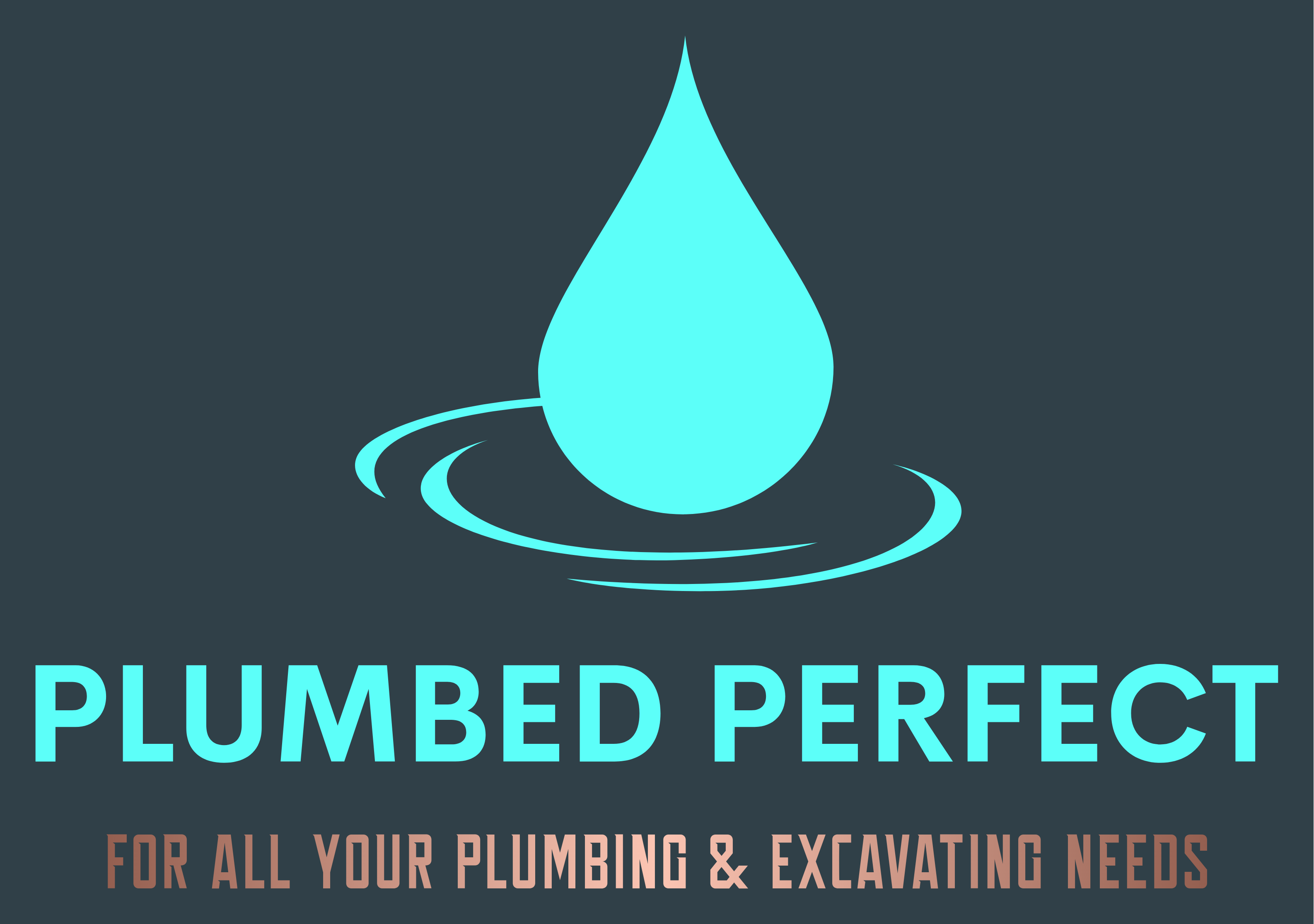 Logo for Plumbed Perfect