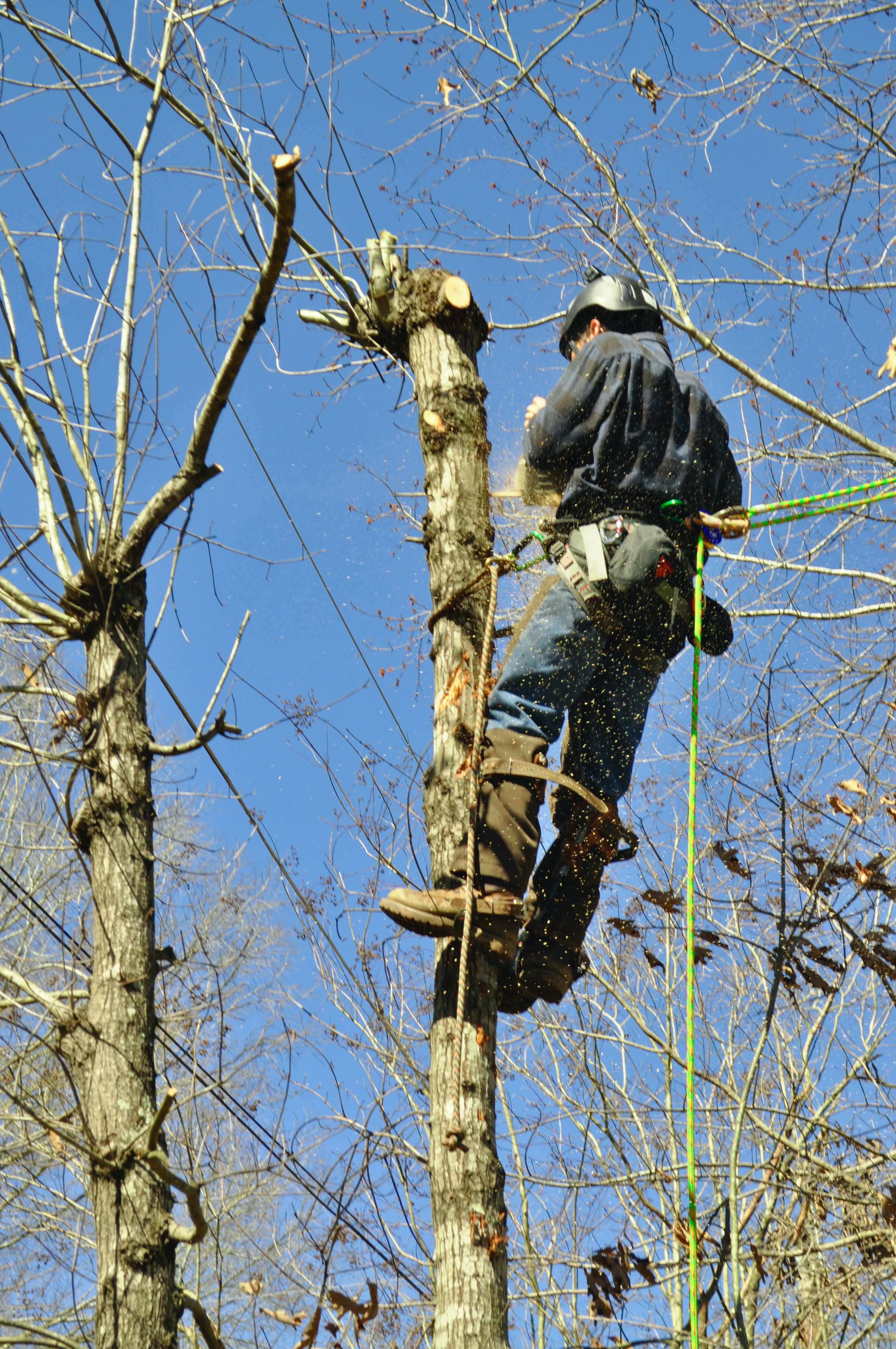 Eden Outdoor Works logo
