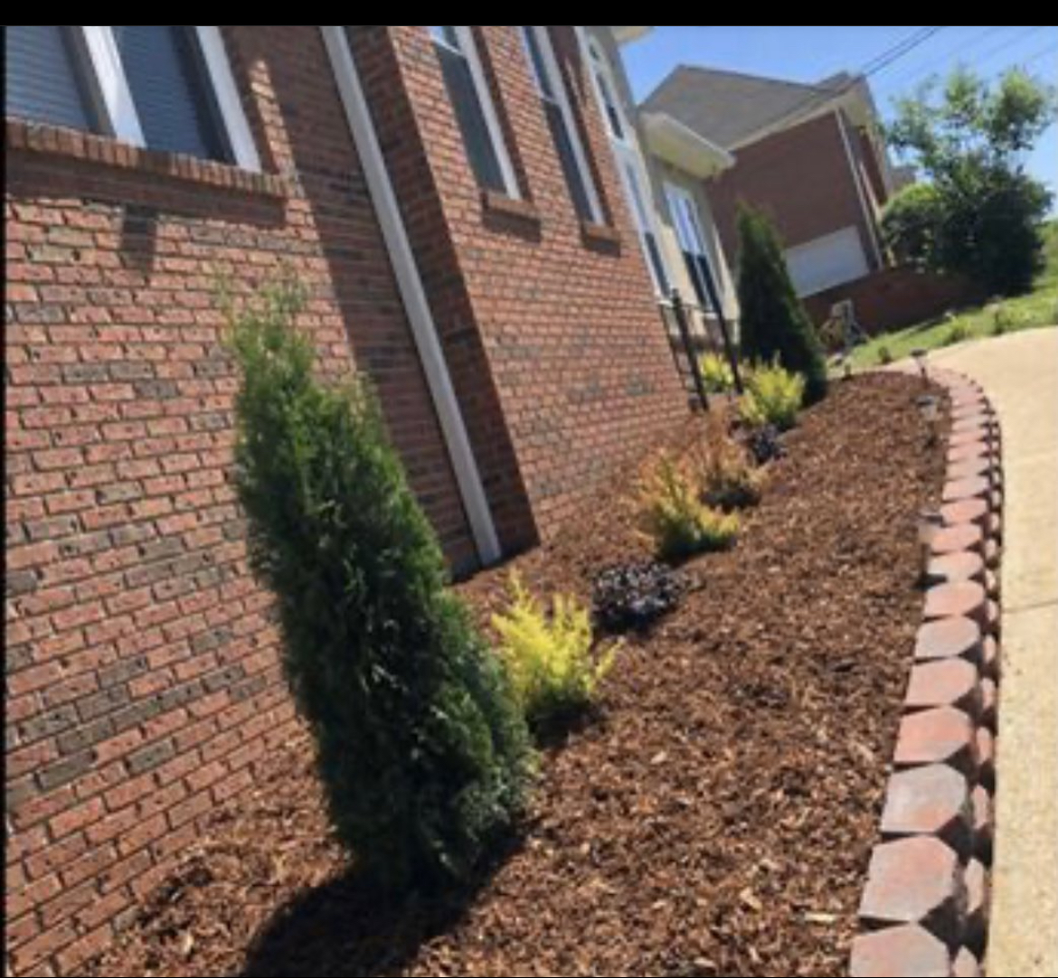 Avatar for Saez Lawn Maintenance