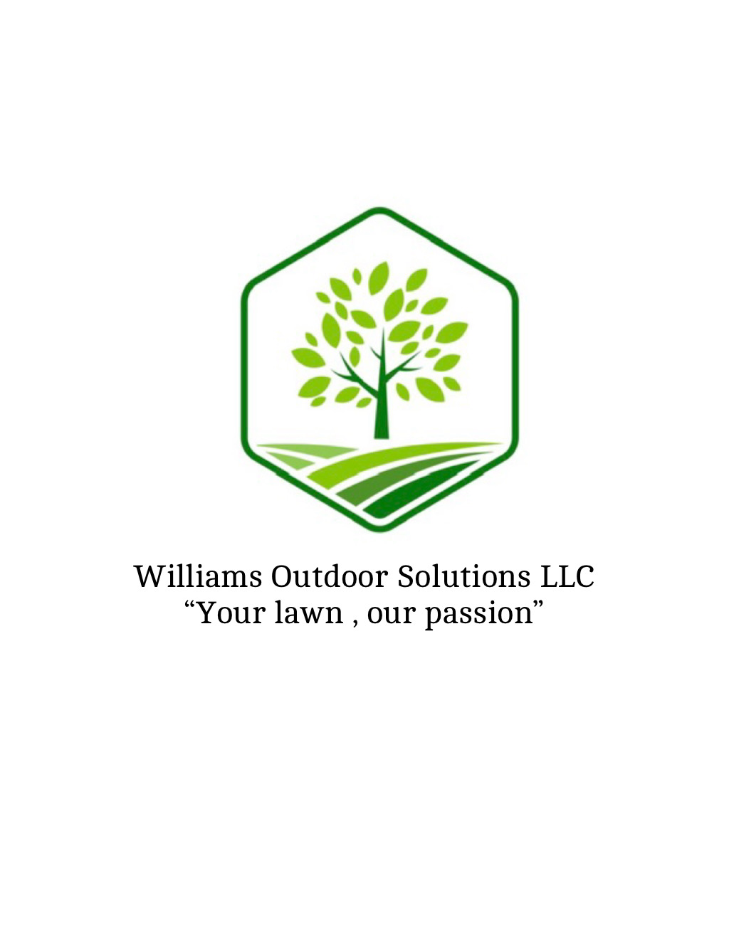 Avatar for Williams Outdoor Solutions LLc