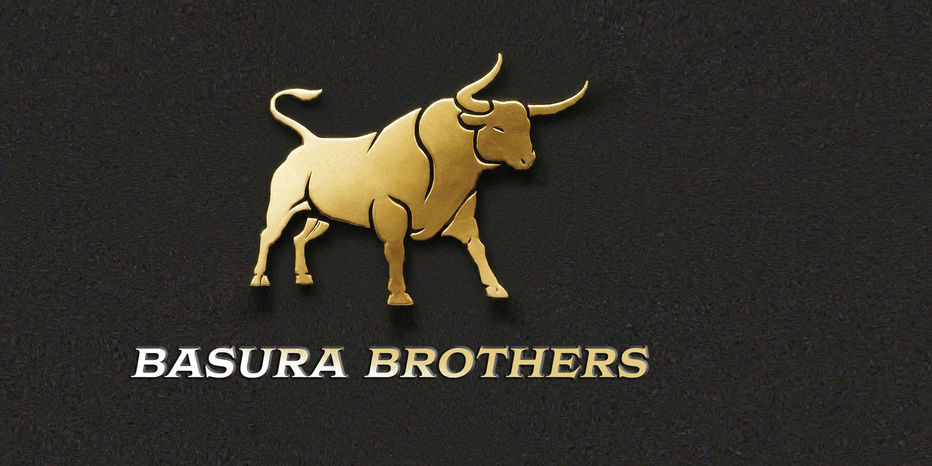 Avatar for Basura Brothers