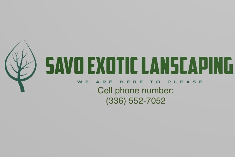 exotic outdoor work no limitations logo