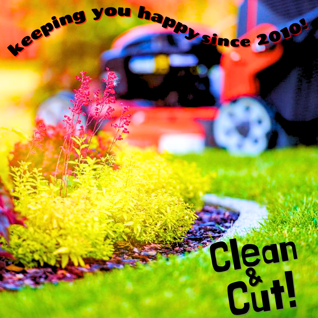 Avatar for Clean&Cut