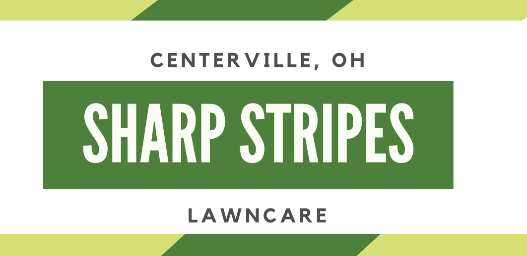 Sharp Stripes logo