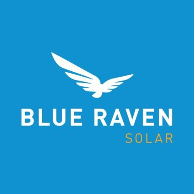 Blue Raven logo