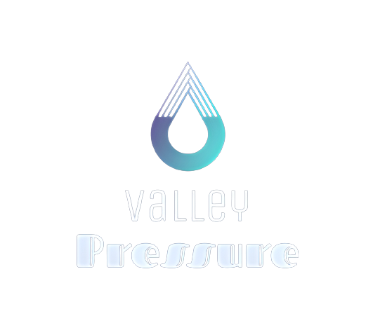 Avatar for Valley Pressure Washing