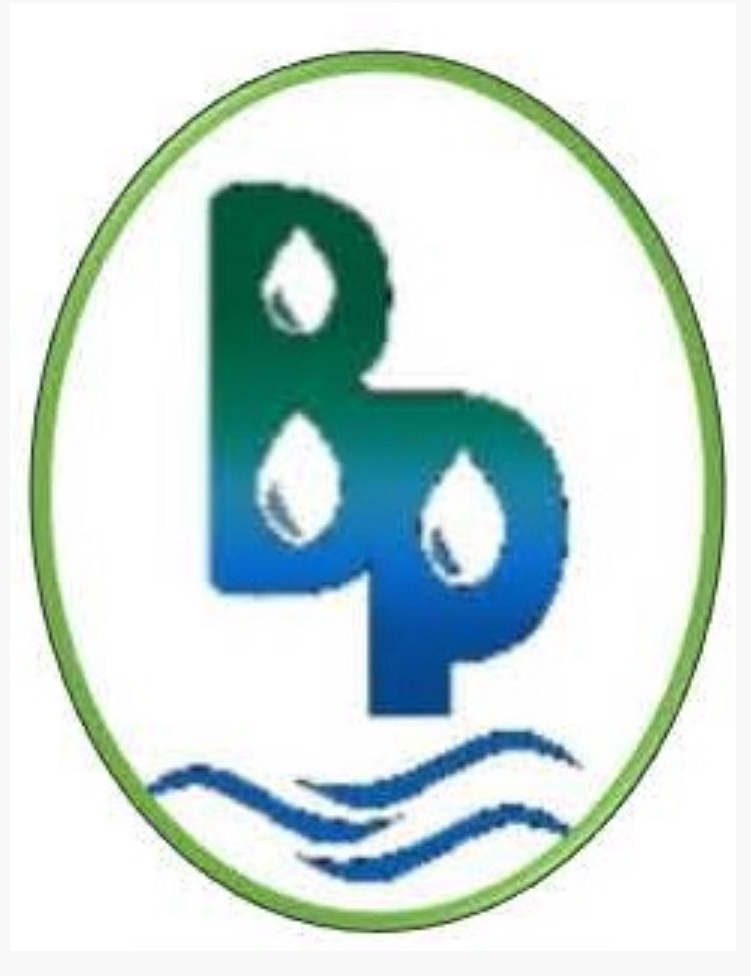 Beyond Pumps logo