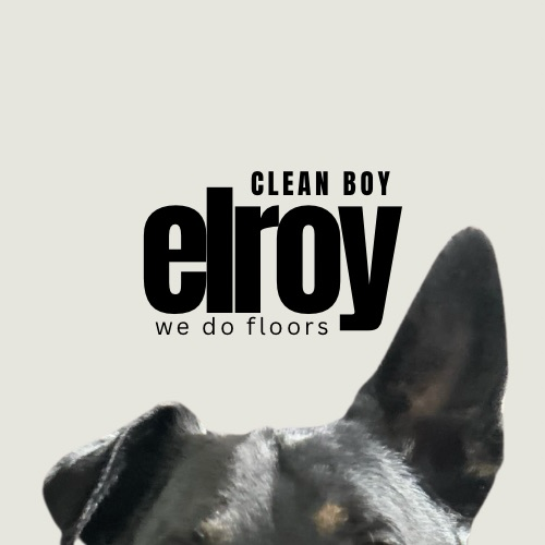 Clean Boy Elroy logo