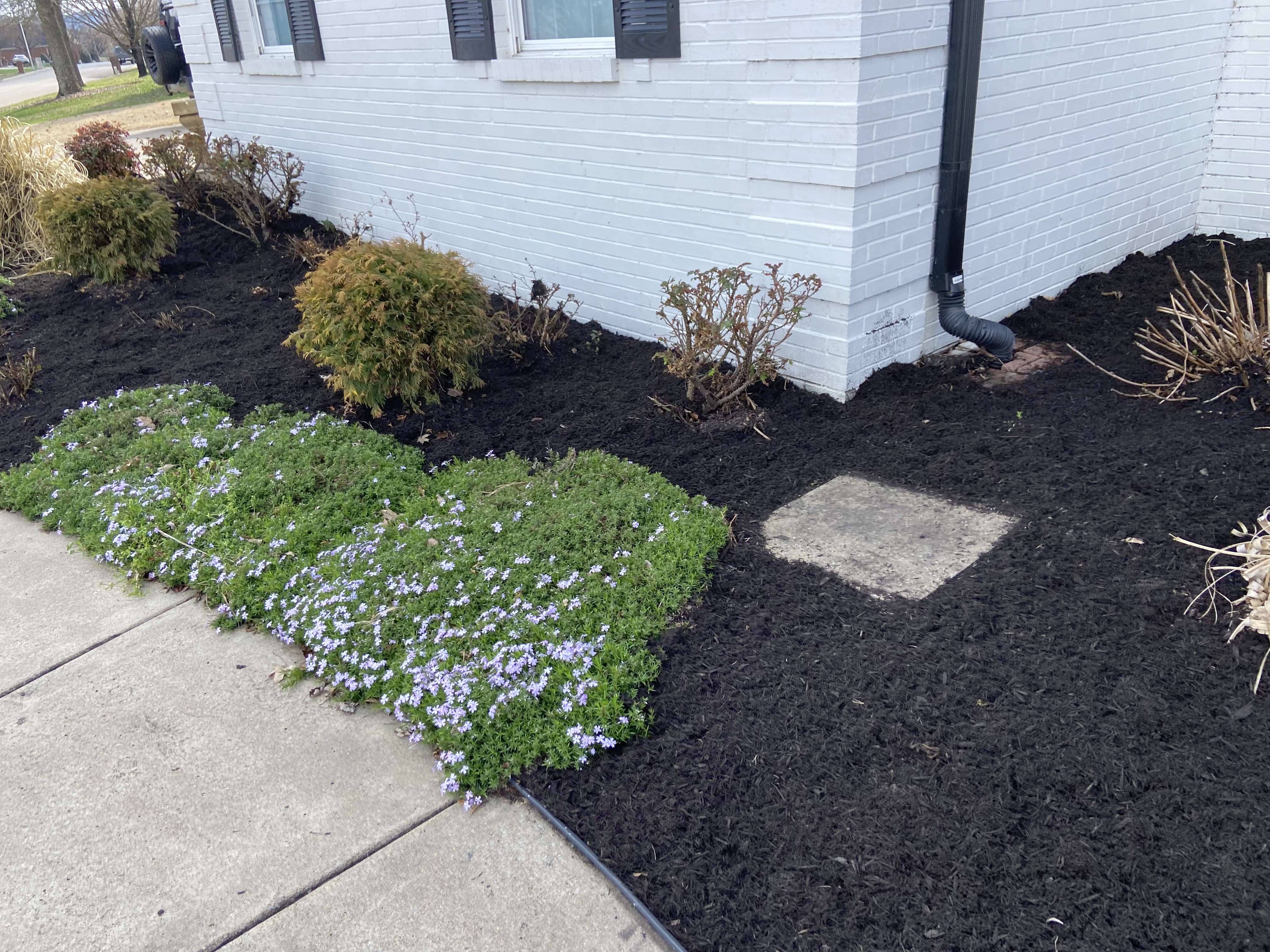 JMJ Landscaping logo