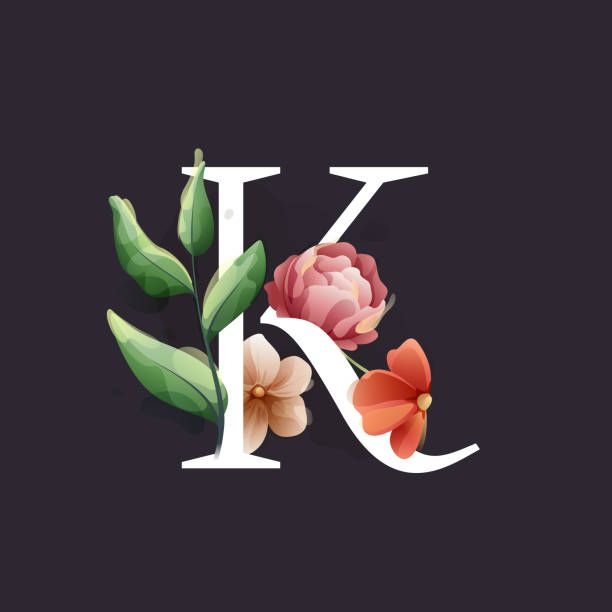 Avatar for Kristen Cleaning