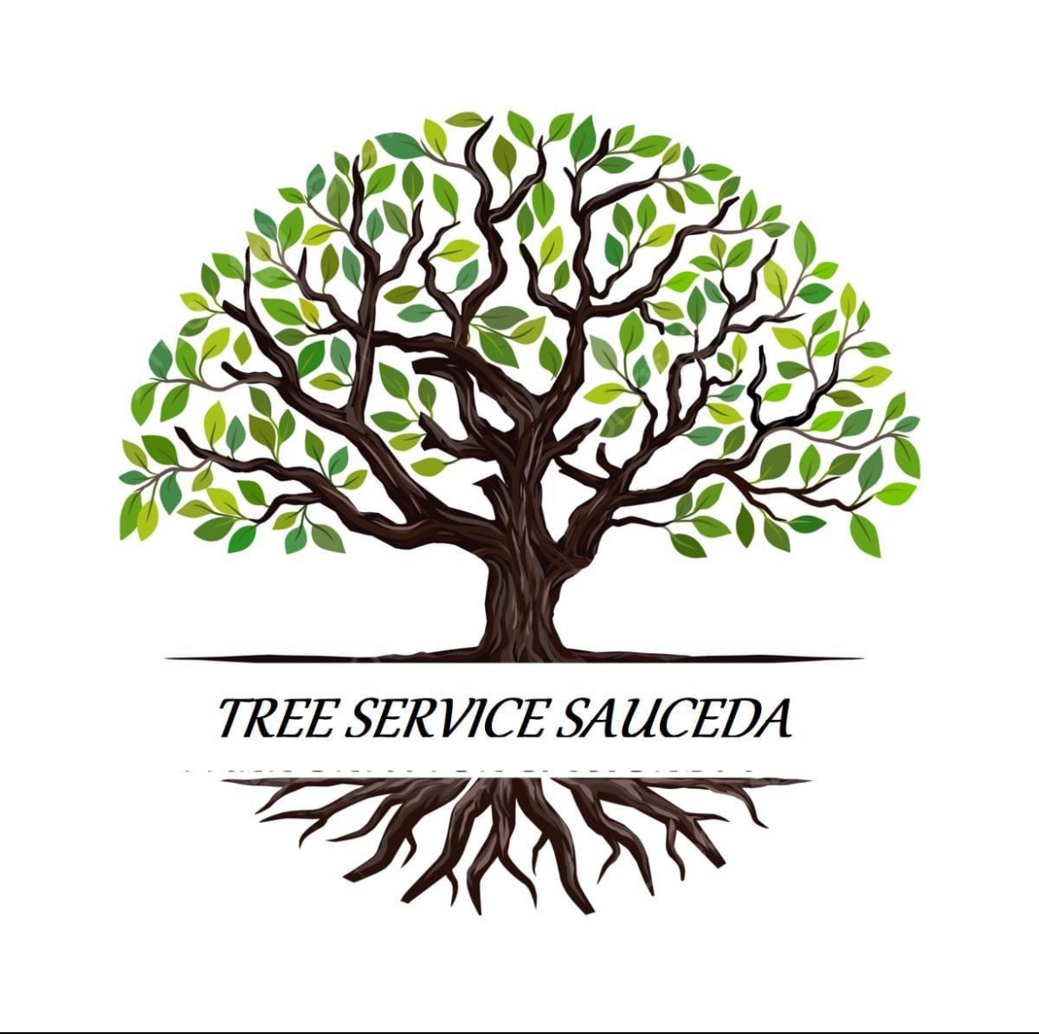 Avatar for Best way tree care