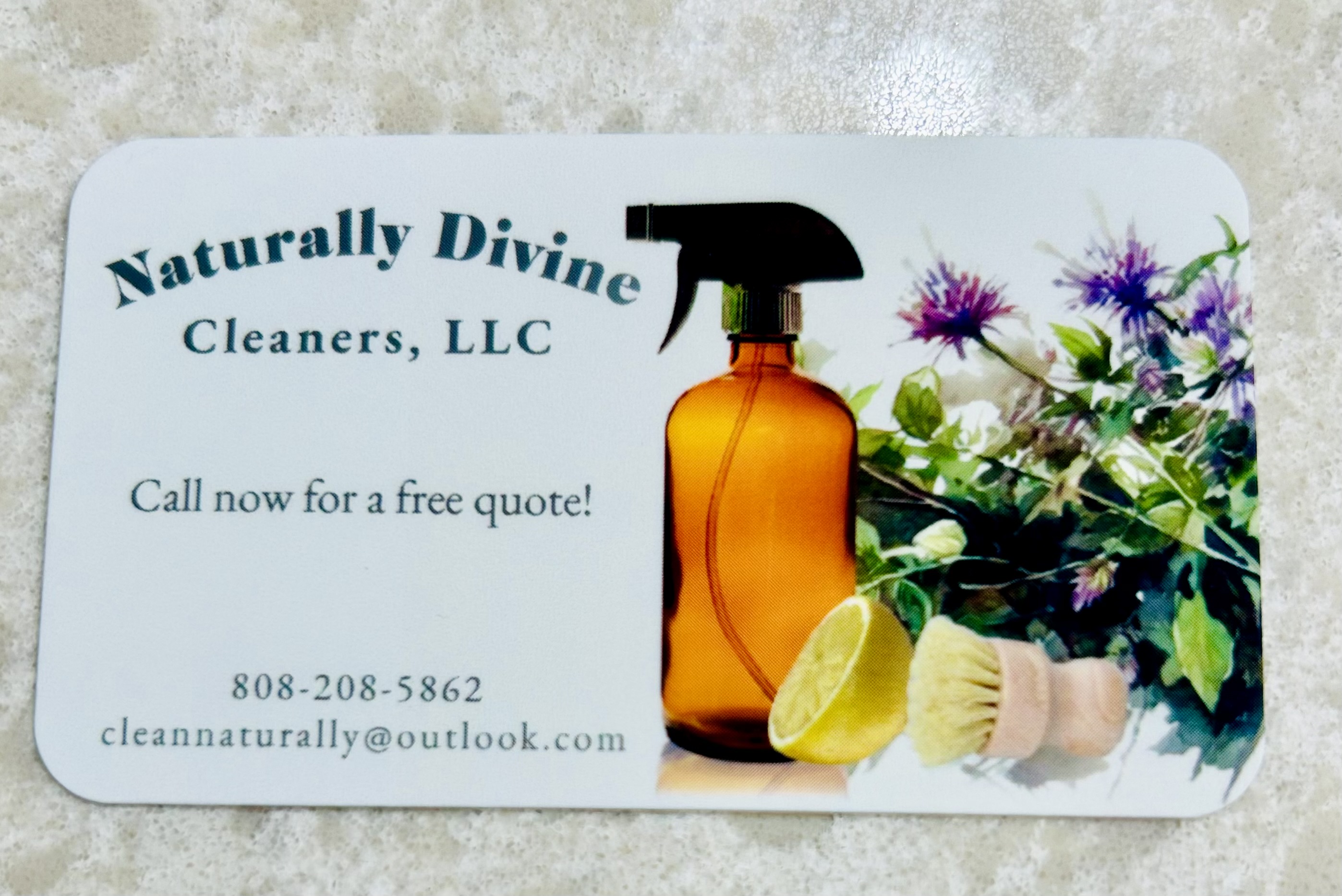 Naturally Divine Cleaners logo