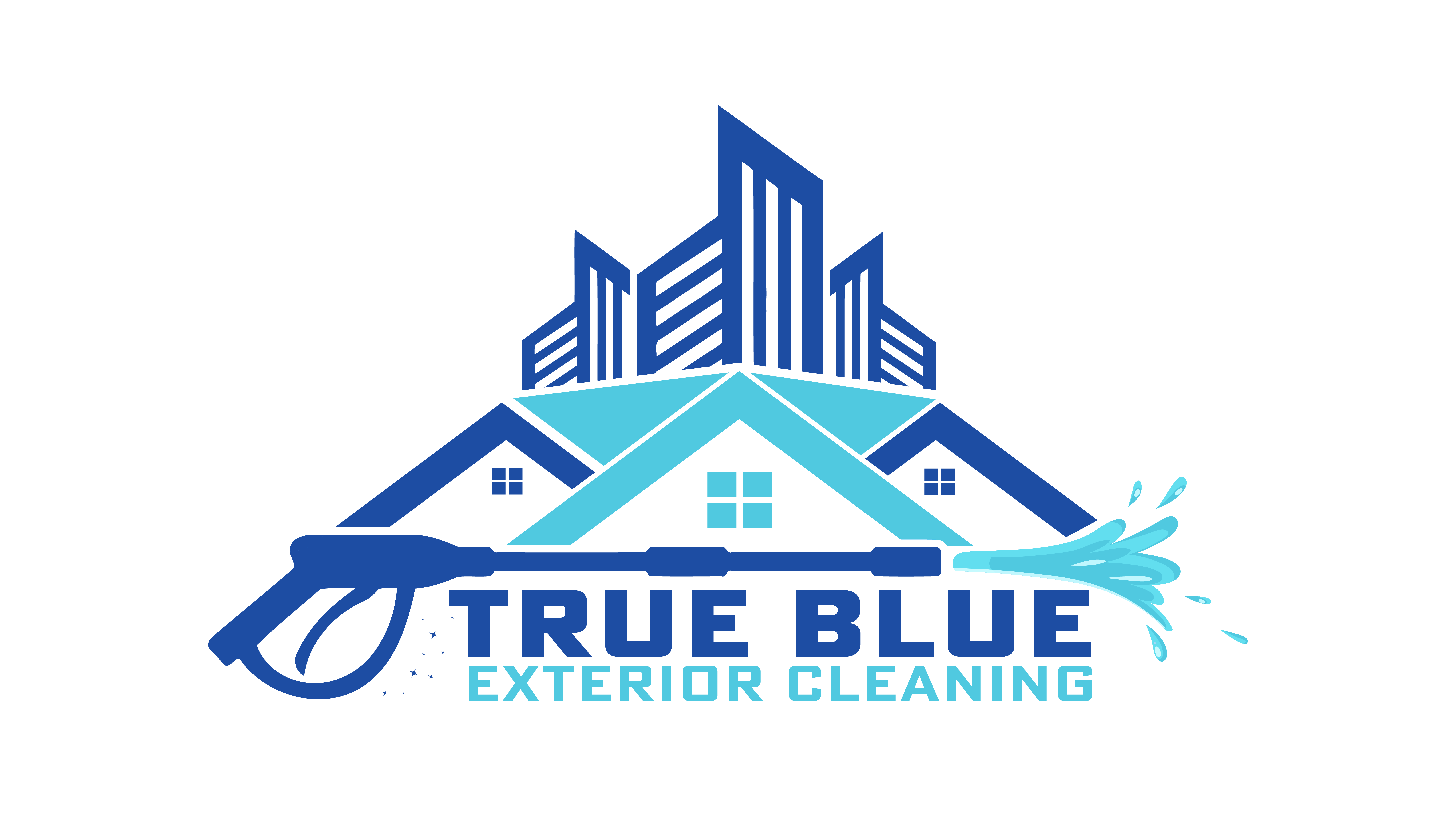 Avatar for True Blue Exterior Wash