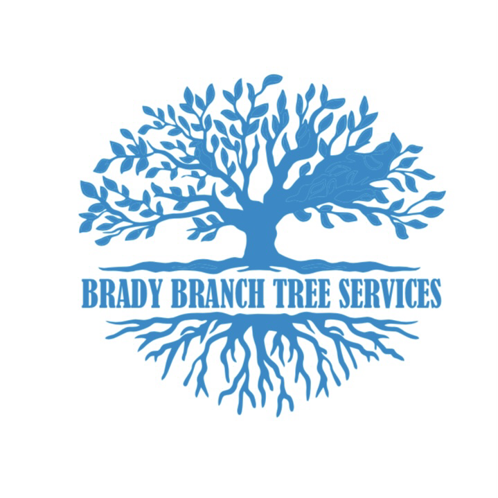 Brady Branch Tree Service logo
