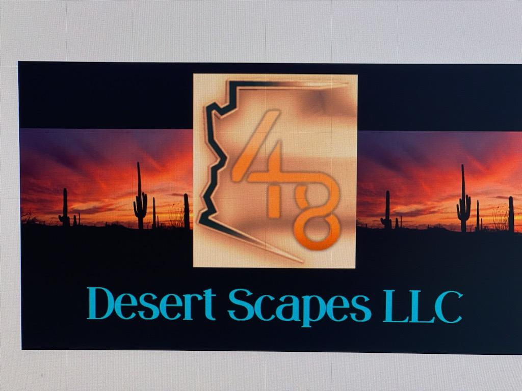 Desert Scaoes 48 LLC logo