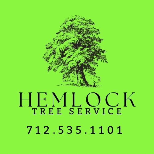 Avatar for Hemlock tree service