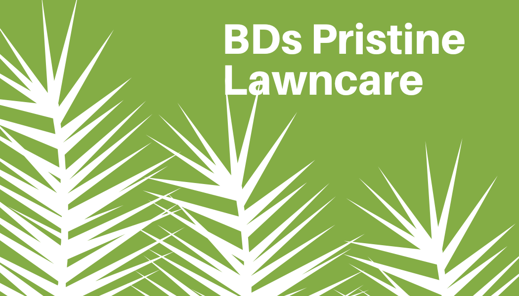 Logo for Bd Pristine Lawns