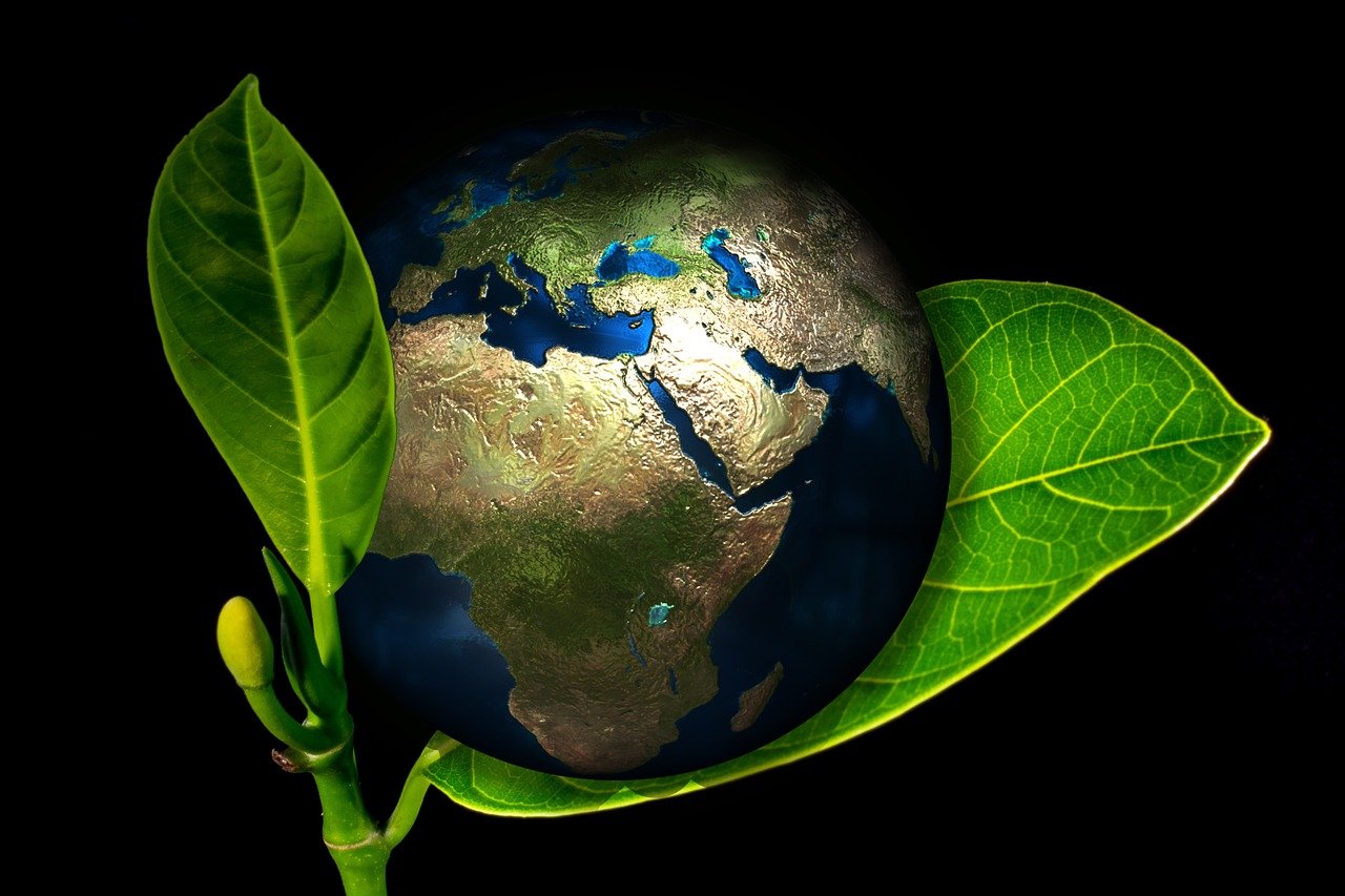 Pristine EcoClean LLC logo
