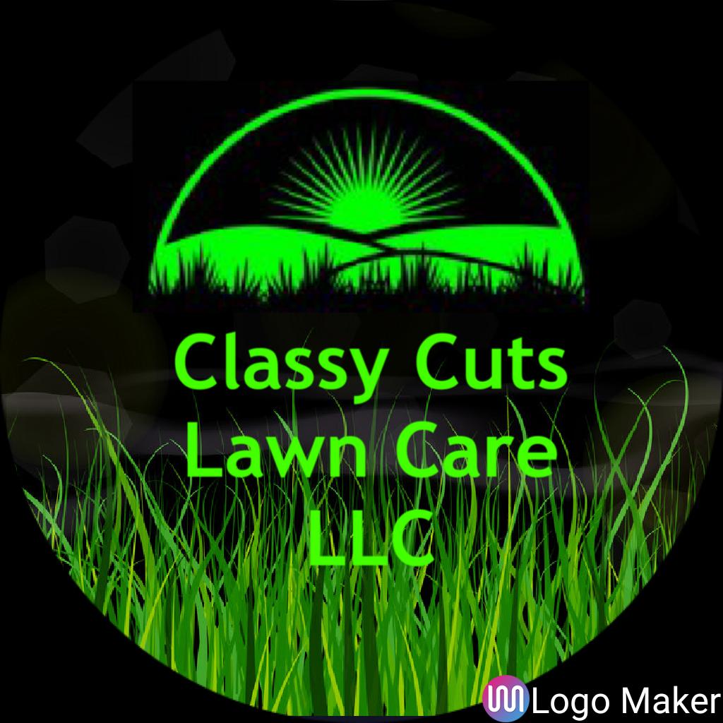 Classy cuts logo