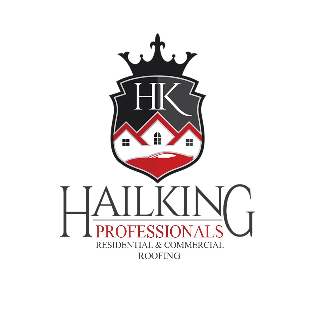 HAIL KING PROFESSIONALS logo