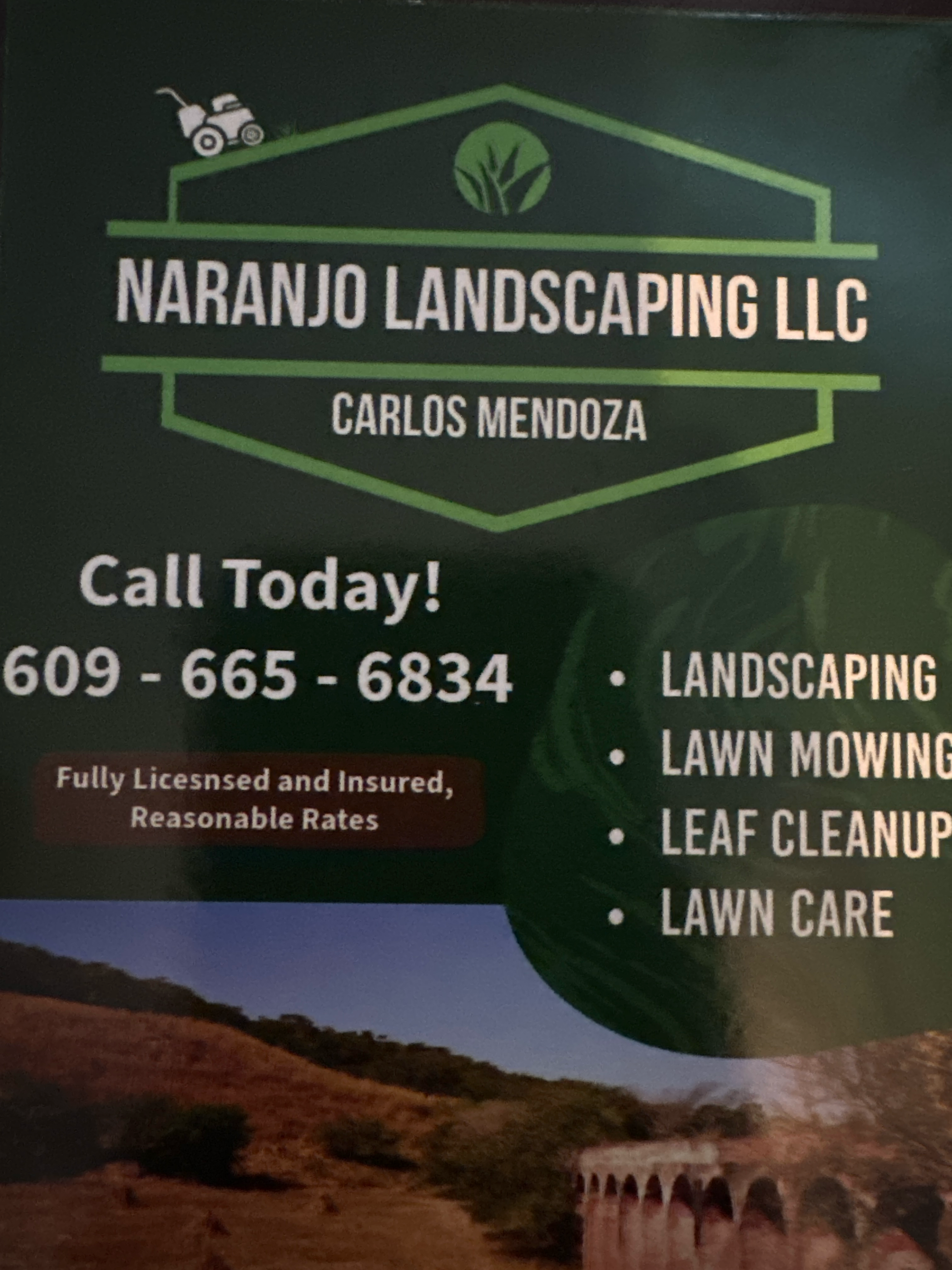 Naranjo Landcaping logo