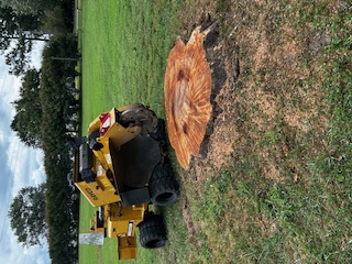 Lightning Bolt Stump Grinding, LLC logo