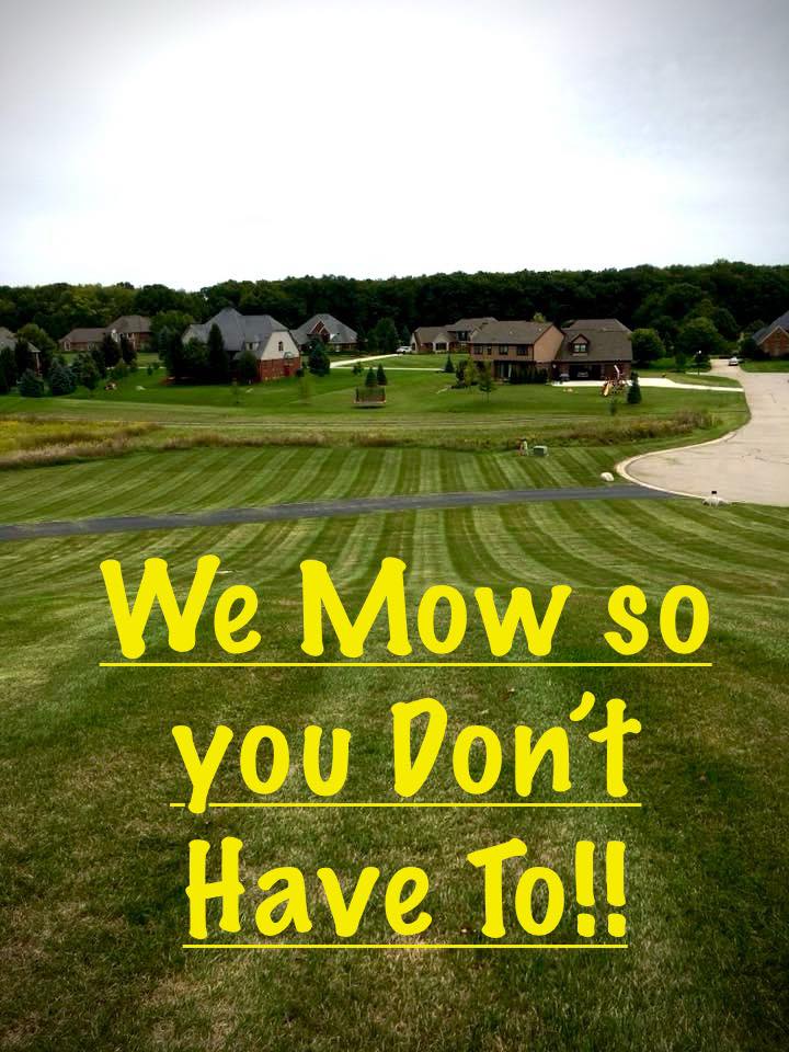 Avatar for MI Green Thumb Lawn Care